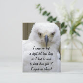 Vergeef me_ briefkaart (Staand voorkant)