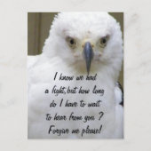 Vergeef me_ briefkaart (Voorkant)