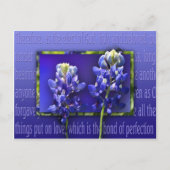 Vergeef me briefkaart (Voorkant)