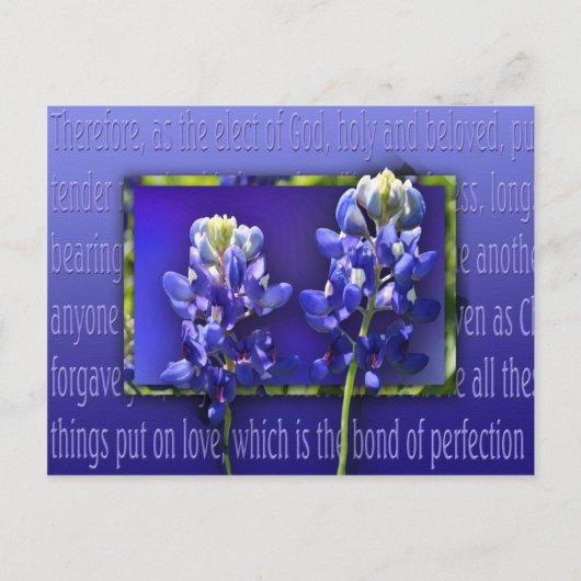 Vergeef me briefkaart (Voorkant)