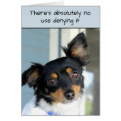 Vergeef me Doggie Cuteness Kaart (Voorkant)