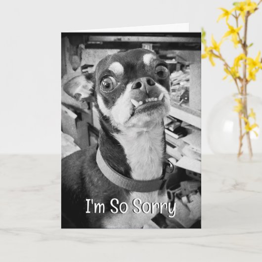 Vergeef me | Het spijt me | Funny Chihuahua Kaart (Gele Bloem)