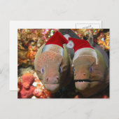 Vergeet de kerstpaling niet! feestdagenkaart (Voorkant / Achterkant)