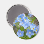 Vergeet me, geen magneet (Voorkant / Achterkant)