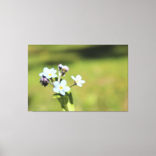 Vergeet me knoop blauw en groen print (Voorkant)