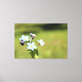 Vergeet me knoop blauw en groen print