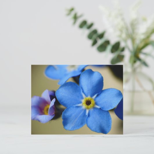 Vergeet-me-knopen 11 Briefkaart (Staand voorkant)