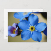 Vergeet-me-knopen 11 Briefkaart (Voorkant / Achterkant)