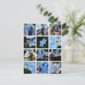 Vergeet-me-knopen Montage 1 Briefkaart (Staand voorkant)