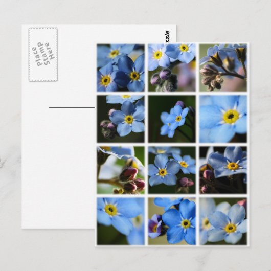 Vergeet-me-knopen Montage 1 Briefkaart (Voorkant / Achterkant)