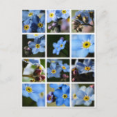 Vergeet-me-knopen Montage 1 Briefkaart (Voorkant)