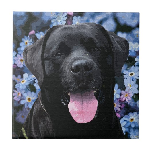 Vergeet me Knot - Black Labrador Tegeltje (Voorkant)