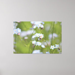Vergeet me Knot Canvas Afdruk