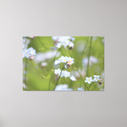 Vergeet me Knot Canvas Afdruk (Voorkant)