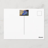 Vergeet me-niet bloem met gouden accenten briefkaart (Achterkant)