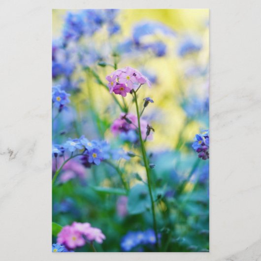 Vergeet-me-niet bloemen briefpapier (Voorkant)