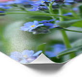 Vergeet me-niet bloemen foto afdruk (Hoek)