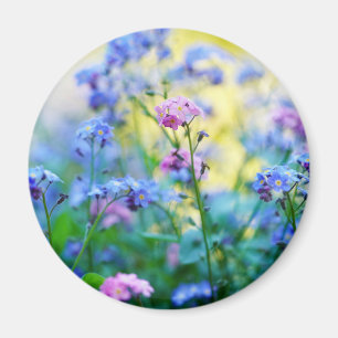 Vergeet-me-niet bloemen magneet
