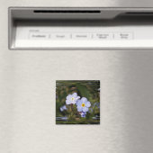 Vergeet me niet bloemen magneet (Insitu (Vaatwasser))