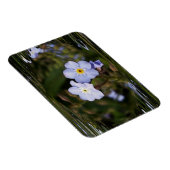 Vergeet me niet bloemen magneet (Rechterzijde)