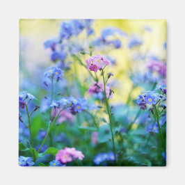 Vergeet-me-niet bloemen magneet