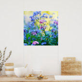 Vergeet-me-niet bloemen poster (Keuken)