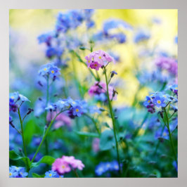 Vergeet-me-niet bloemen poster