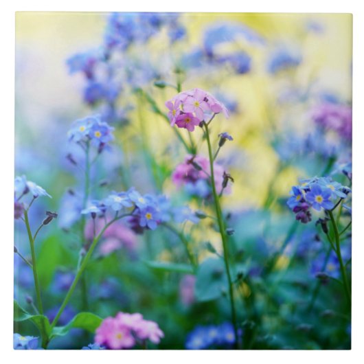Vergeet-me-niet bloemen tegeltje (Voorkant)