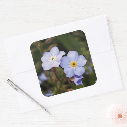 Vergeet me niet bloemen vierkante sticker (Envelop)