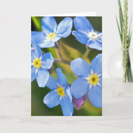 vergeet me niet , bloesems romantisch . bedankkaart