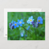 Vergeet me-niet Blues Briefkaart (Voorkant / Achterkant)