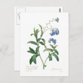 Vergeet-me-niet Briefkaart (Voorkant / Achterkant)