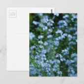 Vergeet-me-niet Briefkaart van Bloemen (Voorkant / Achterkant)