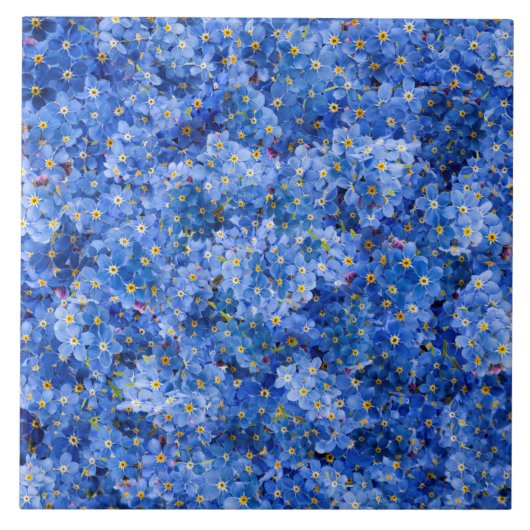 Vergeet me niet dat er geen bloem is tegeltje (Voorkant)