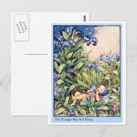 Vergeet-me-niet-feie Briefkaart (Voorkant / Achterkant)