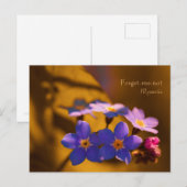Vergeet me-niet in de zonsondergang CC0122 Wildflo Briefkaart (Voorkant / Achterkant)