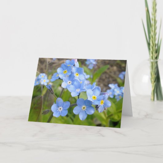 Vergeet me niet Kaart (Voorkant)