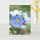 Vergeet-me-niet Kaart (Gele Bloem)