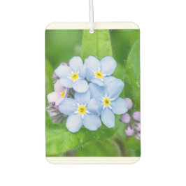 Vergeet me niet luchtverfrisser