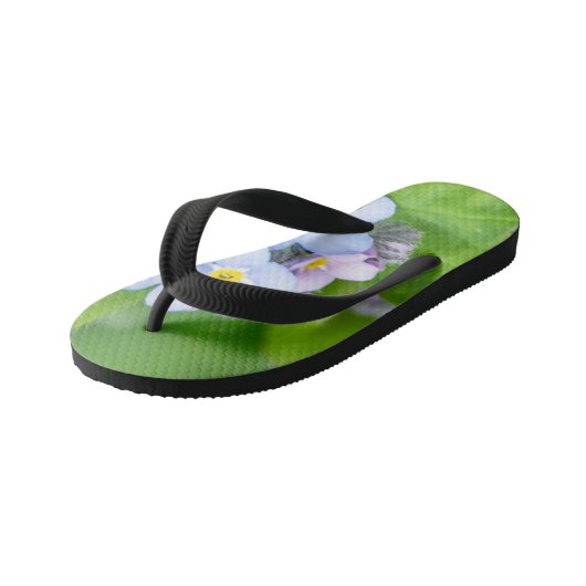 Vergeet me niet, Paar van Teenslippers (Schuin)