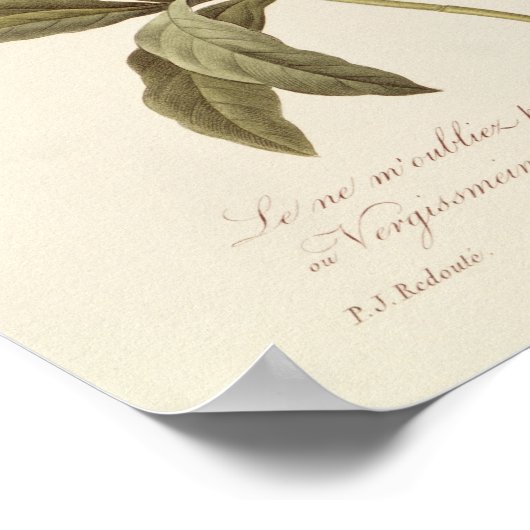 Vergeet me niet poster (Hoek)