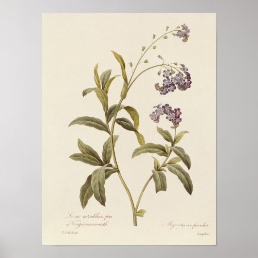 Vergeet me niet poster (Voorkant)