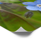 Vergeet me niet Poster (Hoek)