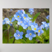 Vergeet me niet Poster (Voorkant)