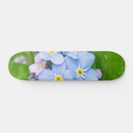 Vergeet me niet, Skateboard (Horizontaal)