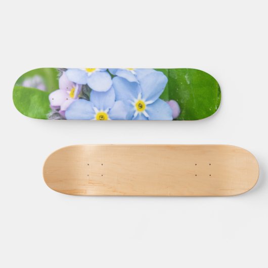 Vergeet me niet, Skateboard (Horizontaal)