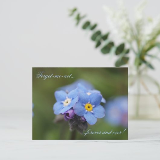 Vergeet me, niet voor altijd en nooit! briefkaart (Staand voorkant)