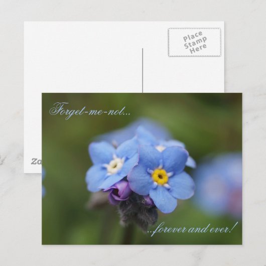 Vergeet me, niet voor altijd en nooit! briefkaart (Voorkant / Achterkant)