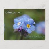 Vergeet me, niet voor altijd en nooit! briefkaart (Voorkant)