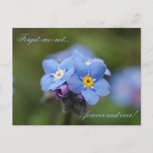 Vergeet me, niet voor altijd en nooit! briefkaart (Voorkant)